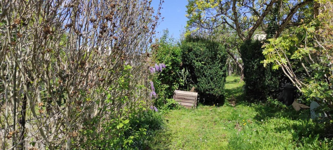 Maison Au Pied De La Montagne Hébergement de vacances *