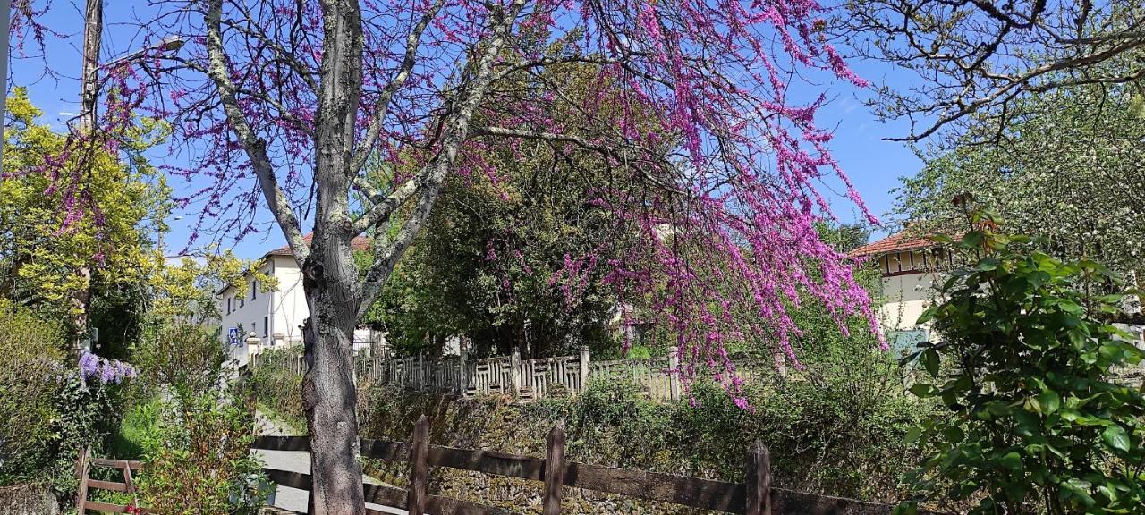 Hébergement de vacances Maison Au Pied De La Montagne *
